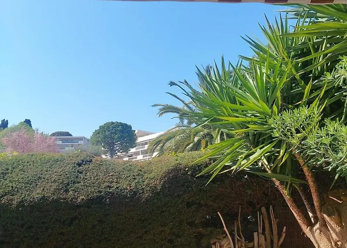 T2 Cosy A * 昂蒂布